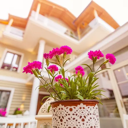 Ξενοδοχείο Ester